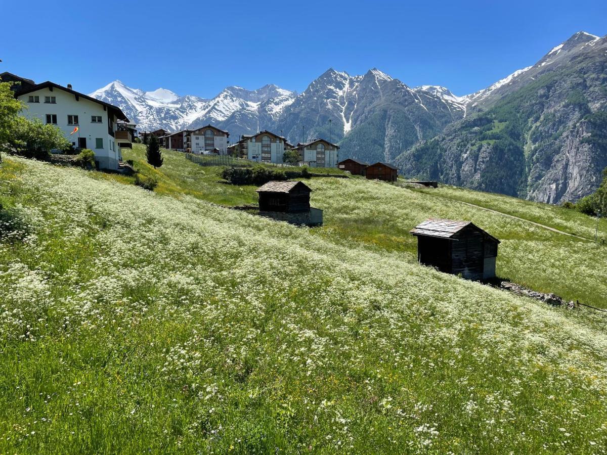 Ferienwohnung Schwarzhornblick Grächen Exterior foto